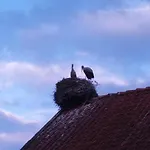 农家乐 西德里斯科萨宾沃旅馆 *