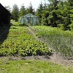 西德里斯科萨宾沃旅馆 Węgorzewo