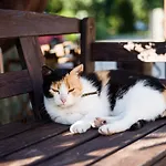 西德里斯科萨宾沃旅馆