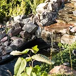 西德里斯科萨宾沃旅馆 Węgorzewo