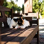 西德里斯科萨宾沃旅馆 农家乐