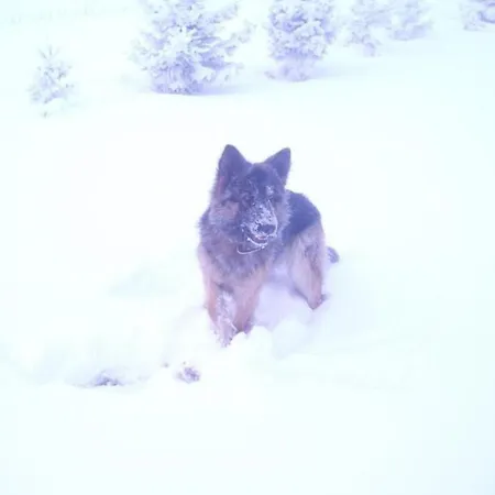 Siedlisko Sabinowo * Węgorzewo