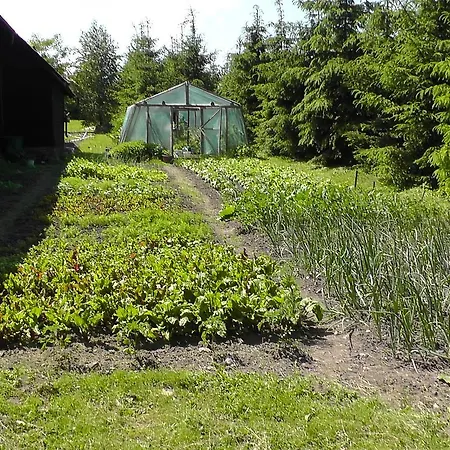 Siedlisko Sabinowo Węgorzewo