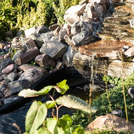 Siedlisko Sabinowo Węgorzewo