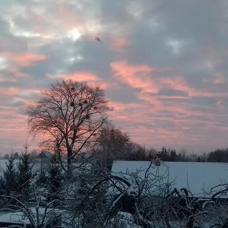 Siedlisko Sabinowo Фермерский дом *